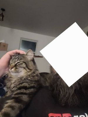 Slide 0